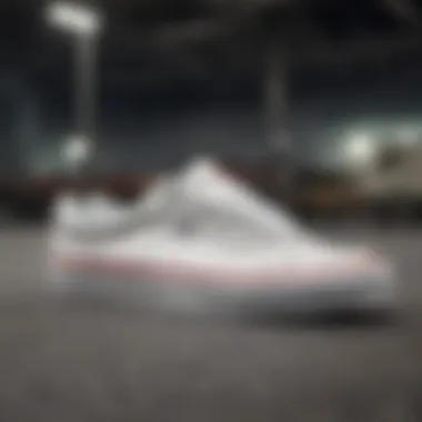 Magnificent Exploring the Vans Sk8 Low White: A Comprehensive Analysis Magnificent Exploring the Vans Sk8 Low White: A Comprehensive Analysis