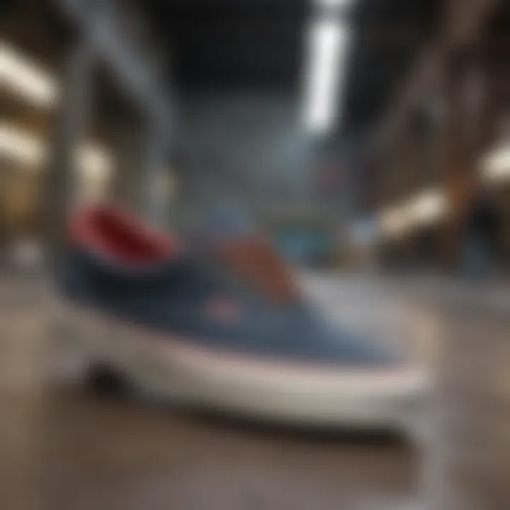 Magnificent Vans Era 59 Skate Shoes: A Comprehensive Exploration