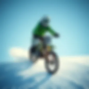 Community and Adventure Collaboration A community gathering celebrating extreme sports and environmental awareness inspired by Arbor Collective