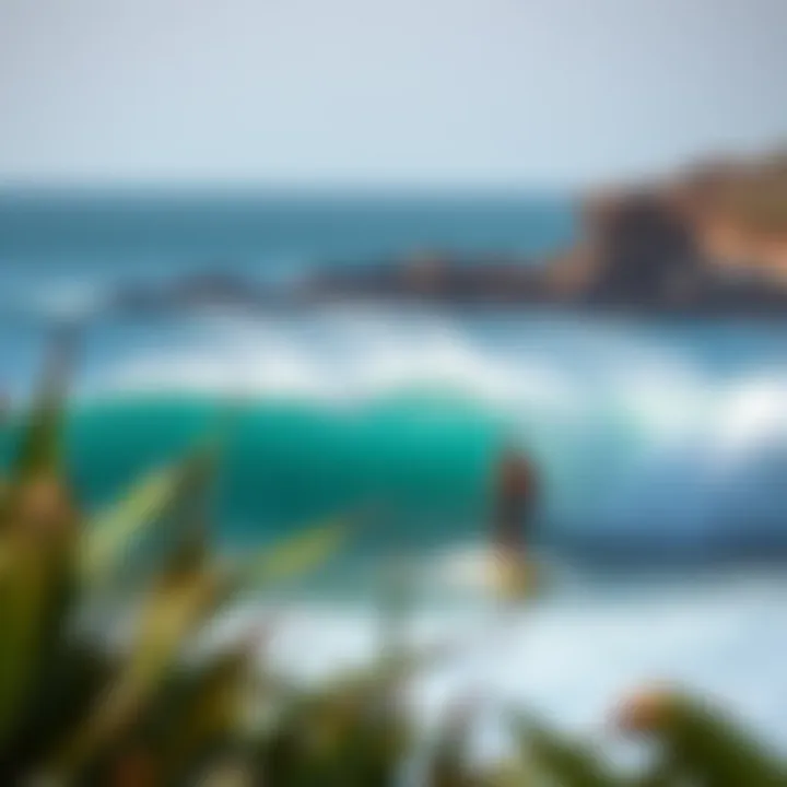 Sustainable Surf Culture A scenic surf spot embodying the essence of adventure and sustainability in extreme sports