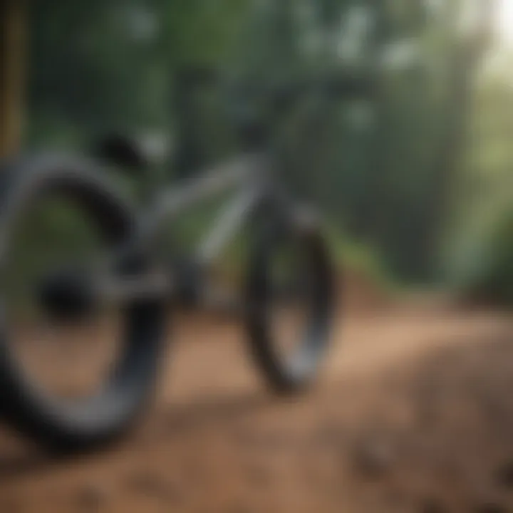 A selection of top BMX bikes displayed together
