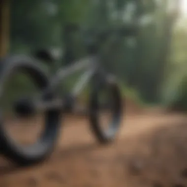 Top BMX Bike Models for Enthusiasts A selection of top BMX bikes displayed together