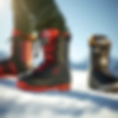 Comparison of different Burton freestyle boot models