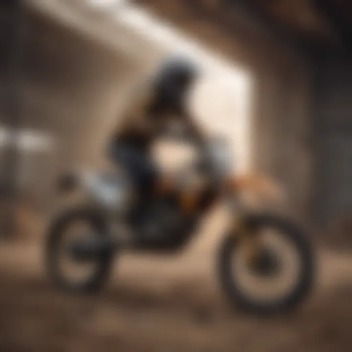 C4 Construction in Extreme Sports: A Comprehensive Overview Summary