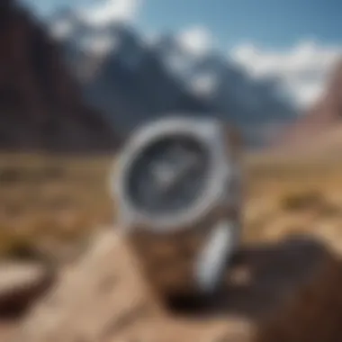 Casio silver watch displayed against a rugged outdoor backdrop, reflecting its durability