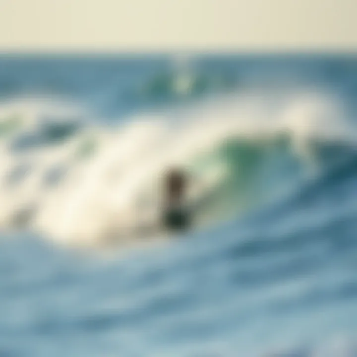 Dynamic Waves for Thrilling Surfing Experience Dynamic wave patterns suitable for surfing