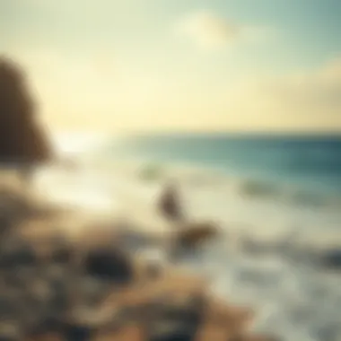 Perfect Beach for Extreme Water Sports Enthusiasts Scenic beach location ideal for extreme sports