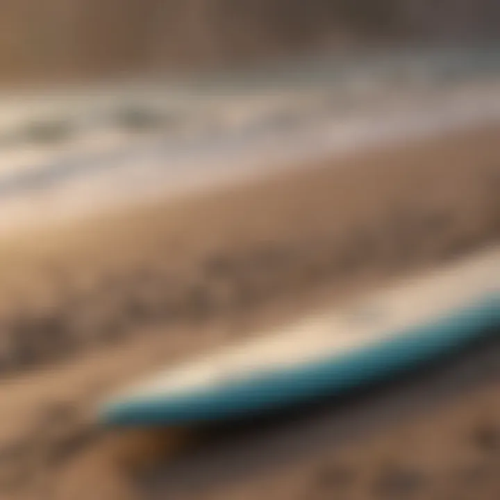 Surfboard deck highlighting different shapes and sizes
