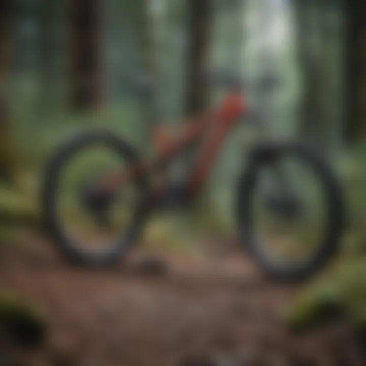 A rugged mountain trail ideal for testing full suspension bikes