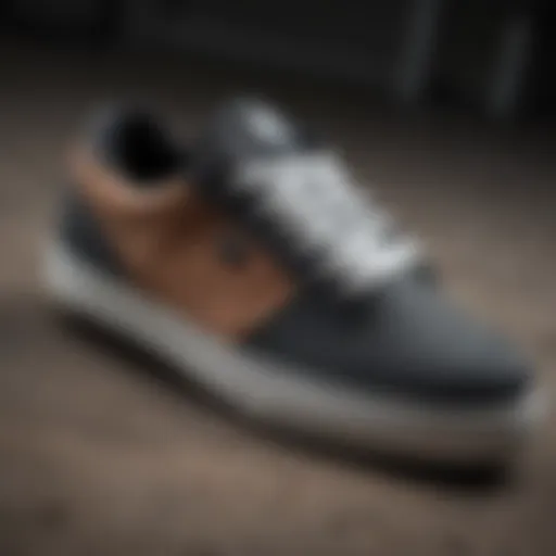 A close-up view of DVS skate shoe design showcasing its unique features