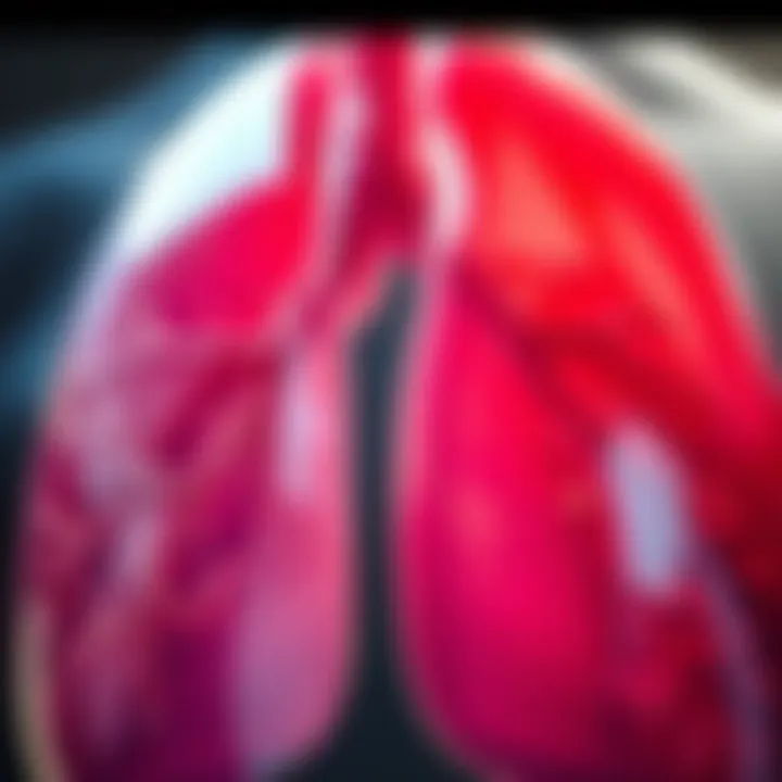 Close-up of lungs showcasing respiratory function and capacity