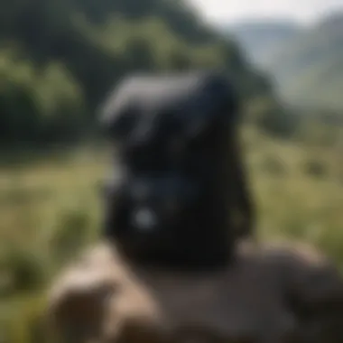 Stylish all-black Herschel Little America backpack against a natural backdrop