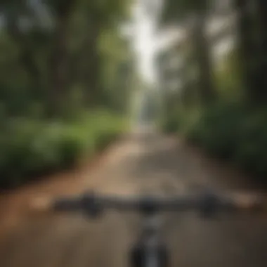 A beautiful panoramic view of the Bay Area from a biking path