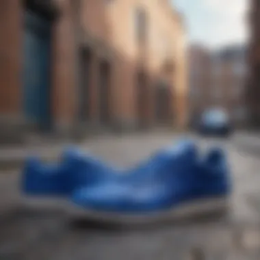 Stylish blue Adidas shoes in an urban setting