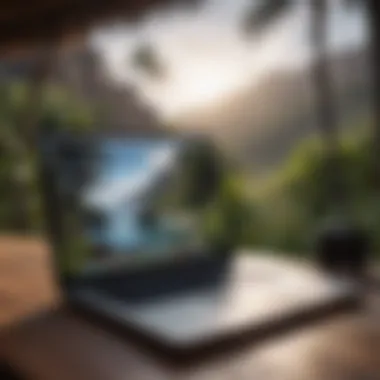 Navigating Craigslist in Paradise A person browsing Craigslist on a laptop in a scenic Maui location