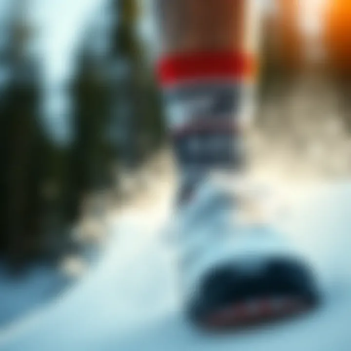 Trends in SB Sock Designs for Extreme Sports A display of various SB sock designs, emphasizing the trends in style within extreme sports culture