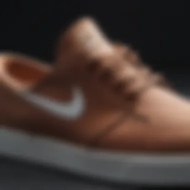 Close-up of Nike Janoski material and design