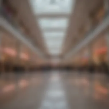 Interior shot of a vibrant shopping area in Raleigh Mall