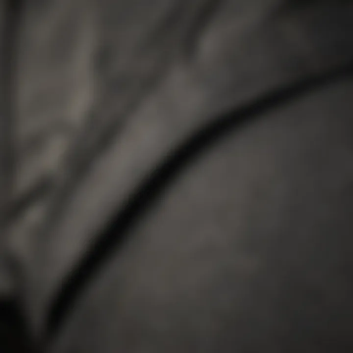 Close-up of RVCA Hitcher Pants showcasing material texture