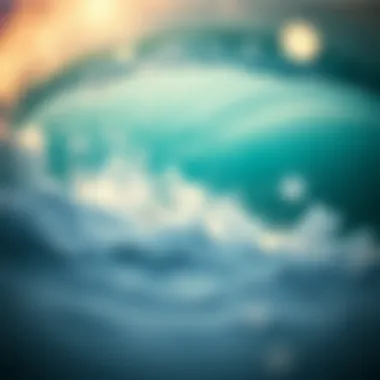 Material choices influencing surf shorts performance