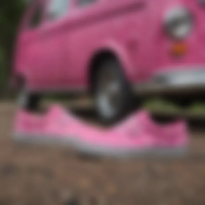 Group of thrill-seekers showcasing their hot pink checkered Vans