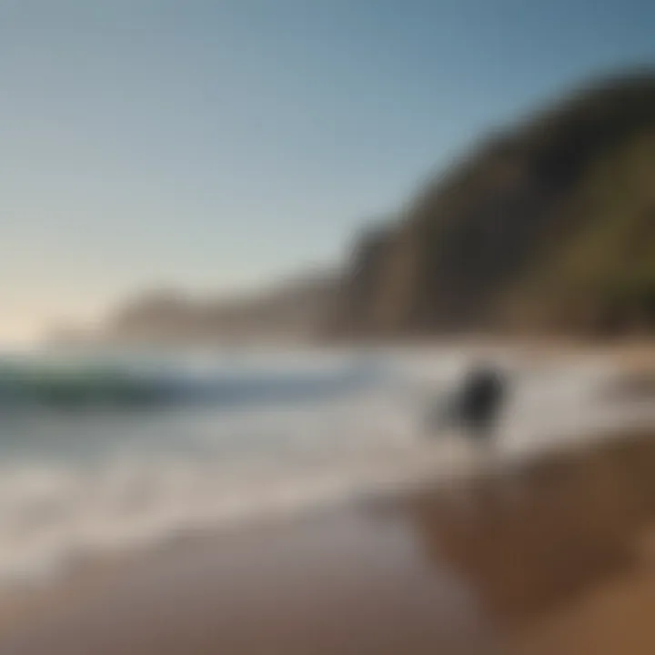 A group of surfers gearing up for an adrenaline-filled day on the waves of Carrizalillo Beach