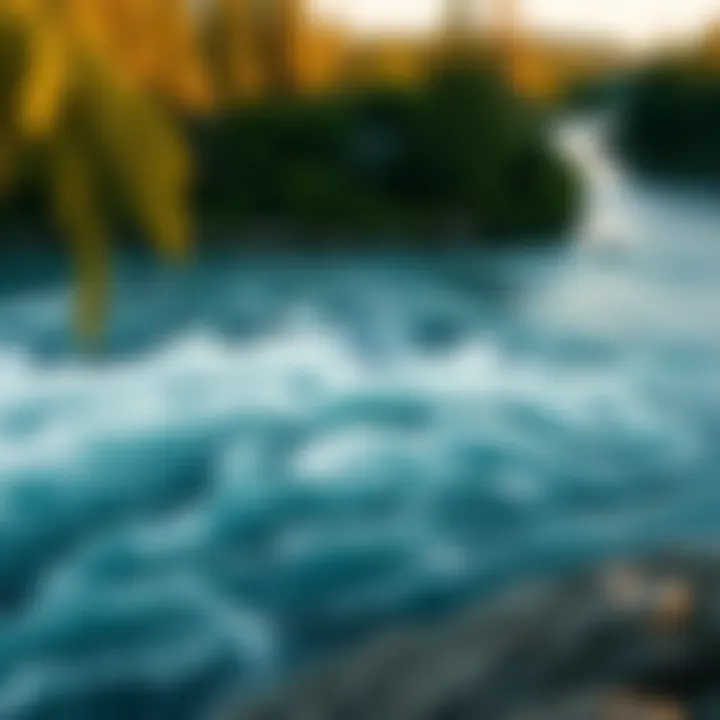 Serene River with Whitewater Features Panoramic view of a serene river with whitewater features