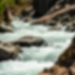Vibrant rapids cascading through rocky terrain