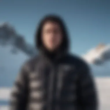 Black puffa jacket showcased against a snowy mountain backdrop