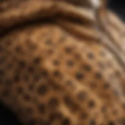 Close-up of a cheetah print hoodie fabric, showcasing texture and pattern