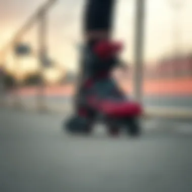 Infographic comparing different roller blade brands