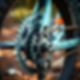 Close-up of a mountain bike drive train showcasing the gear system