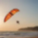 Vibrant kites soaring above a scenic beach