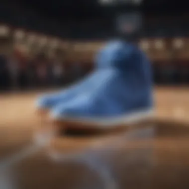 Performance of Nike Royal Mid in Sports Nike Royal Mid in action on the basketball court demonstrating its performance