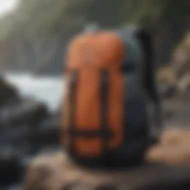 Comparison of different Quiksilver backpack styles