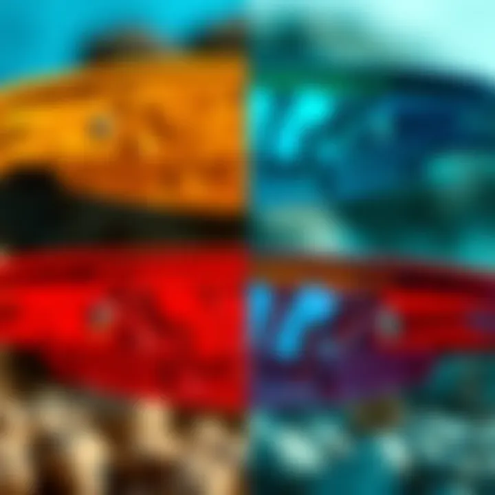 Color Variety of Reef Ortho X Slide Comparison image of different color options available for the Reef Ortho X Slide.