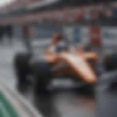 A vibrant crowd enjoying the Indianapolis Grand Prix