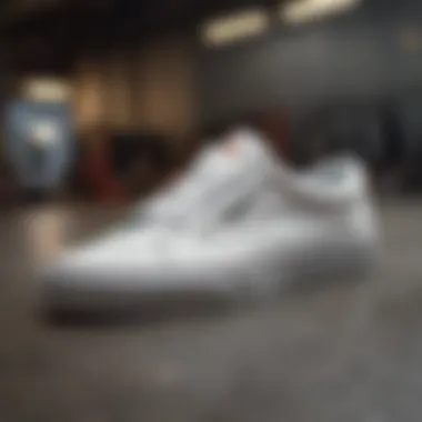 Exploring the Vans Sk8 Low White: A Comprehensive Analysis Summary