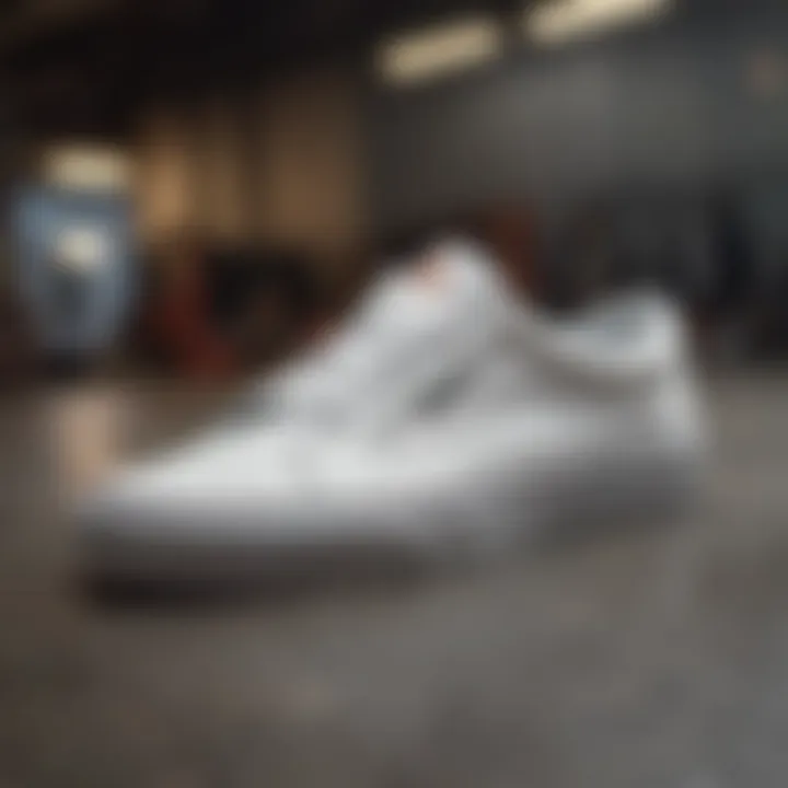 Exploring the Vans Sk8 Low White: A Comprehensive Analysis Summary