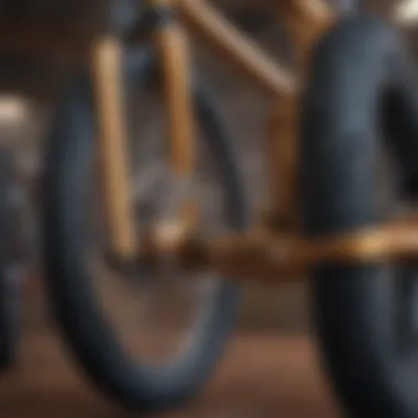 A close-up of a BMX bike showcasing its intricate design