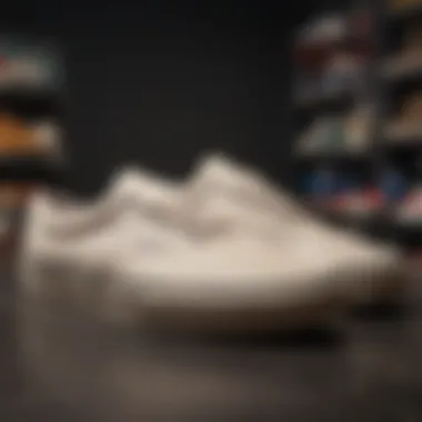The Historical Evolution of Vans Footwear Historical timeline illustrating the evolution of Vans footwear