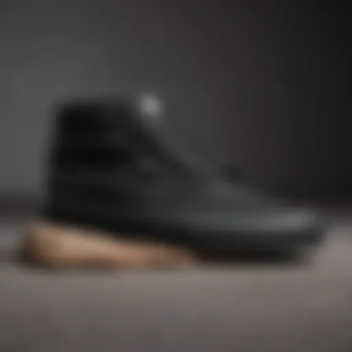 Vans Chukka Low Black Mono Canvas Skate Shoes from the side showcasing their sleek design