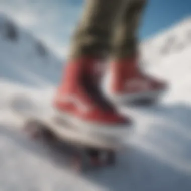 Community of Snowboarders with Vans Shoes Group of snowboarders wearing Vans shoes on the slopes