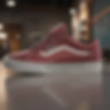 Stylish Design of Vans Snowboard Shoes Stylish Vans snowboard shoes displayed in a trendy setting