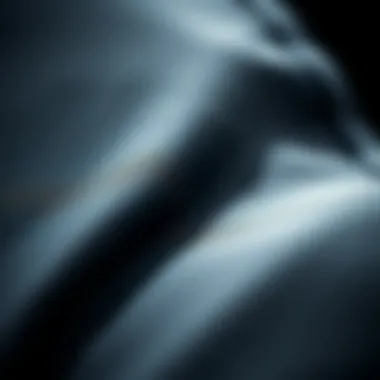 Premium Wetsuit Fabric Close-up of premium wetsuit fabric showcasing texture and flexibility