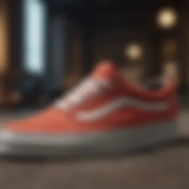 An online shopping interface featuring Vans shoes.