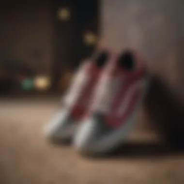 A collection of seasonal Vans footwear displayed neatly.