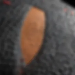 Close-up of FCS tail pad showcasing texture and grip