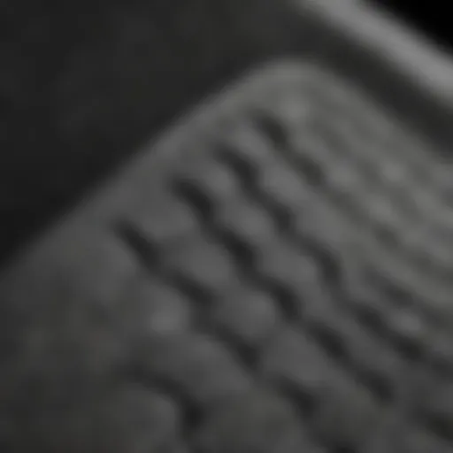 Close-up view of a gorilla traction pad showcasing its unique texture