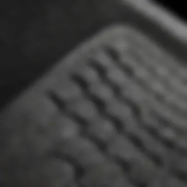 Textured Surface of Gorilla Traction Pad Close-up view of a gorilla traction pad showcasing its unique texture